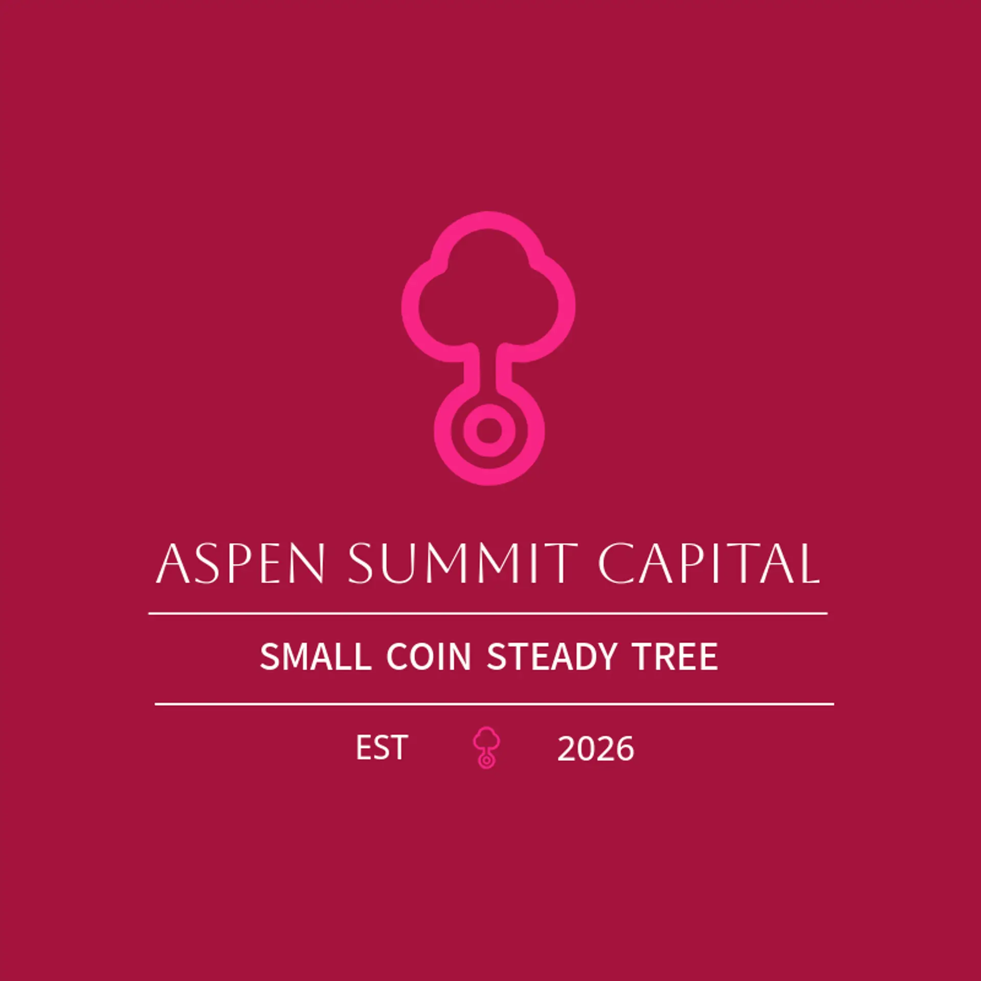 Aspen Summit Capital logo for loan