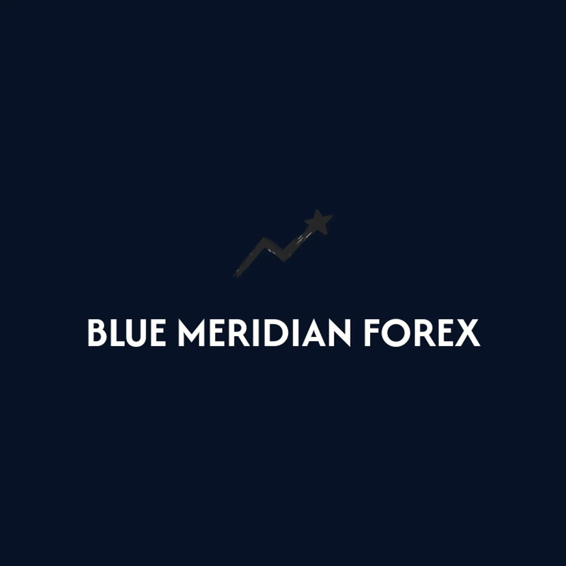 Blue Meridian Forex logo for forex